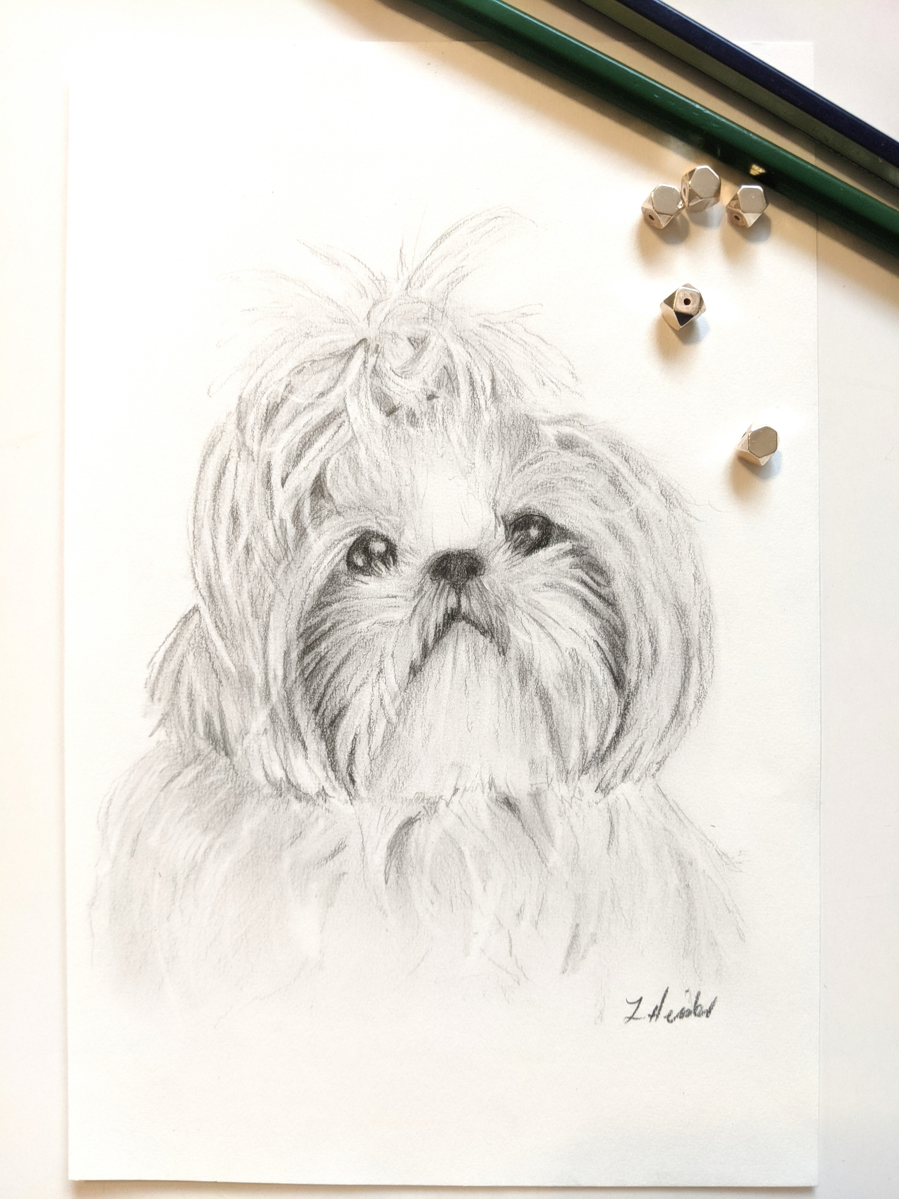 Custom outlet Pet Portrait Graphite Pencil 8x10