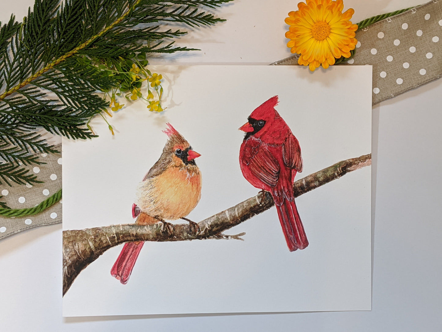 Carol's Cardinals