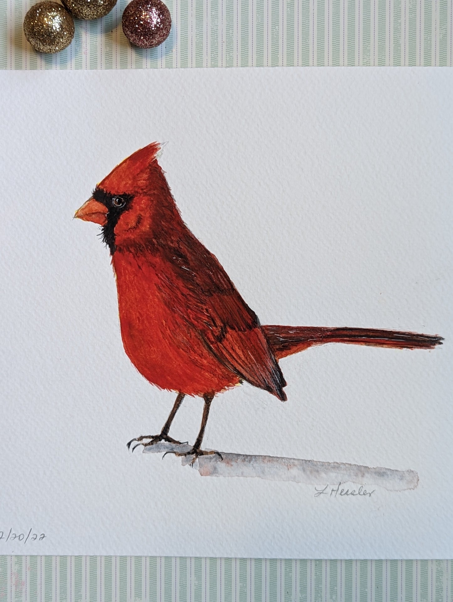 hand painted male cardinal redbird with attitude