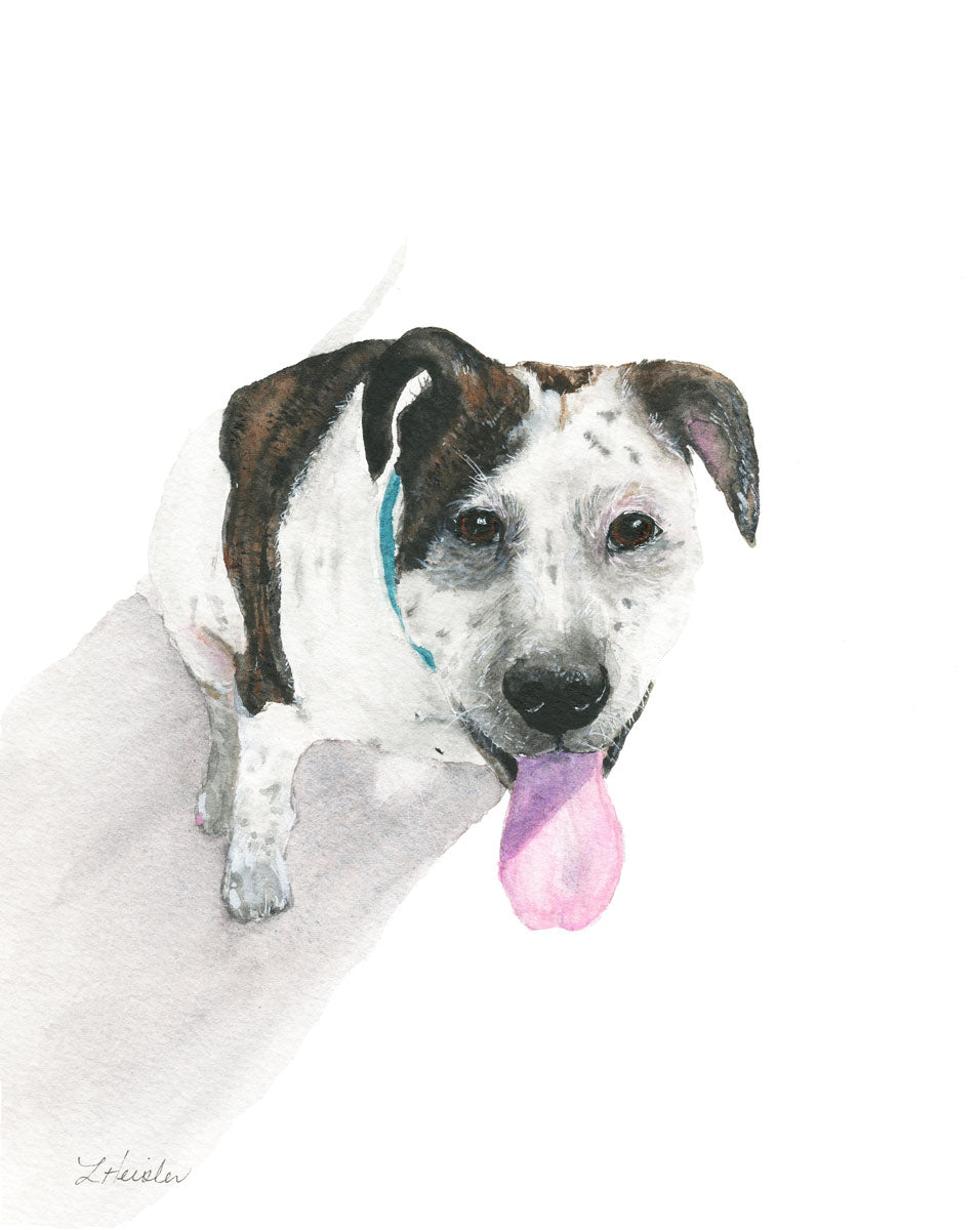 Custom Pet Portraits