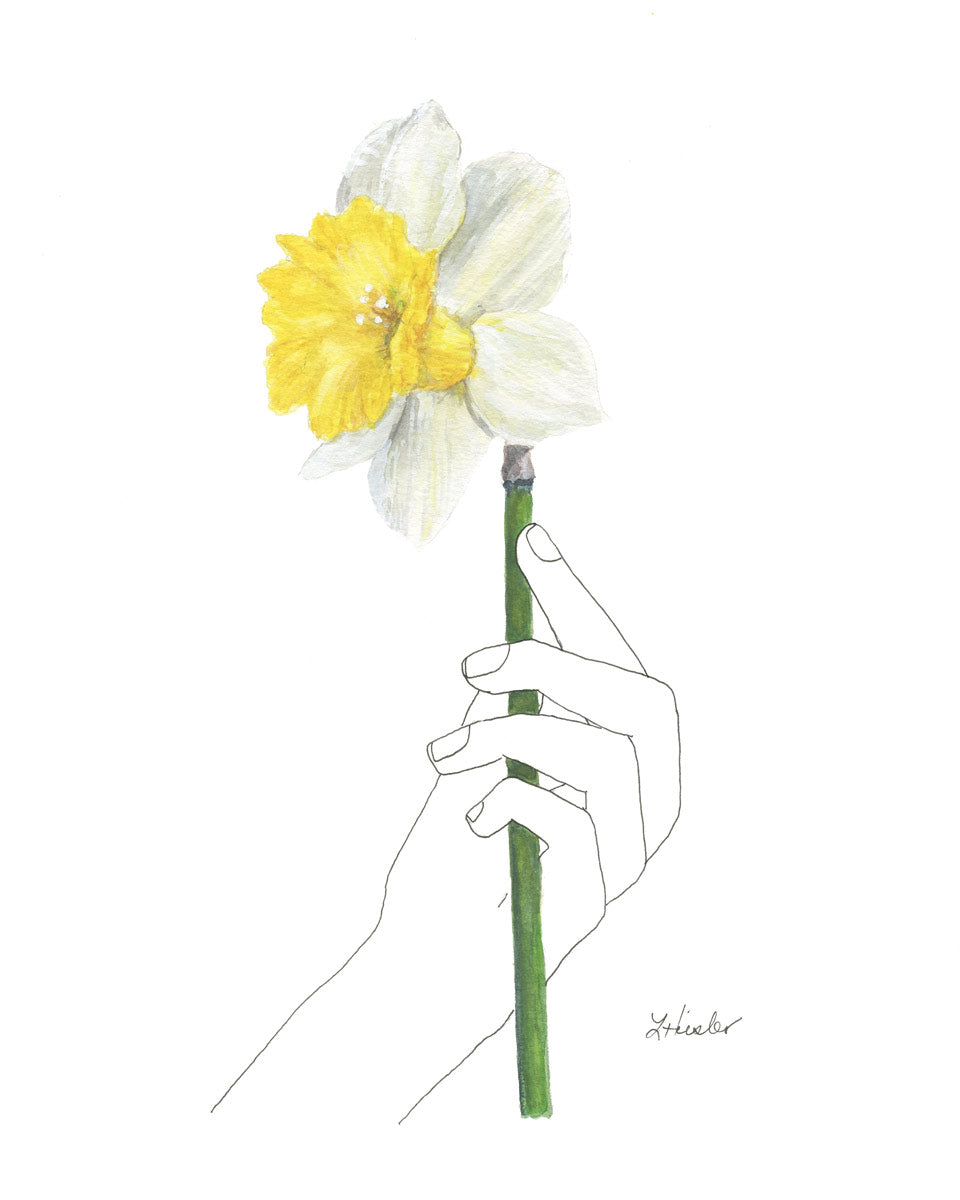 line drawn hand holding a watercolor daffodil