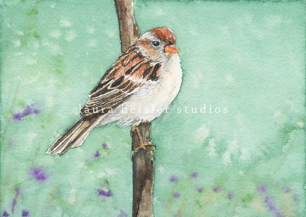 Field Sparrow watercolor art original and giclee prints