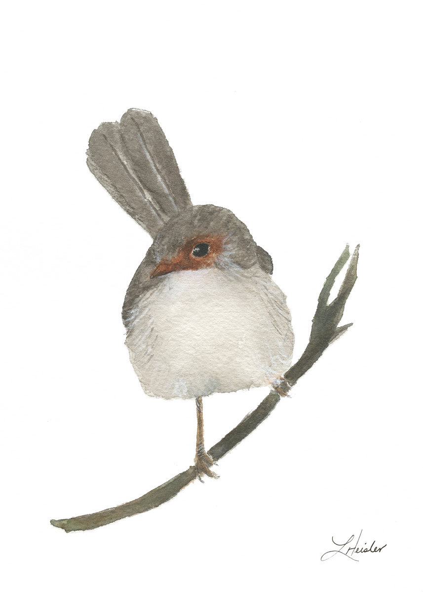 Superb Fairy Female Giclee Print