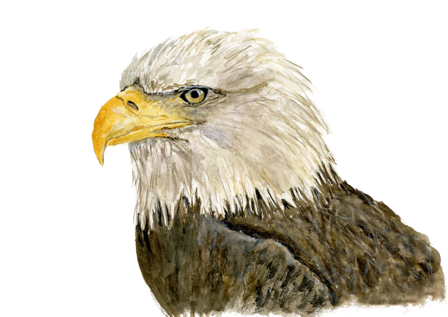 Eagle Giclee Print