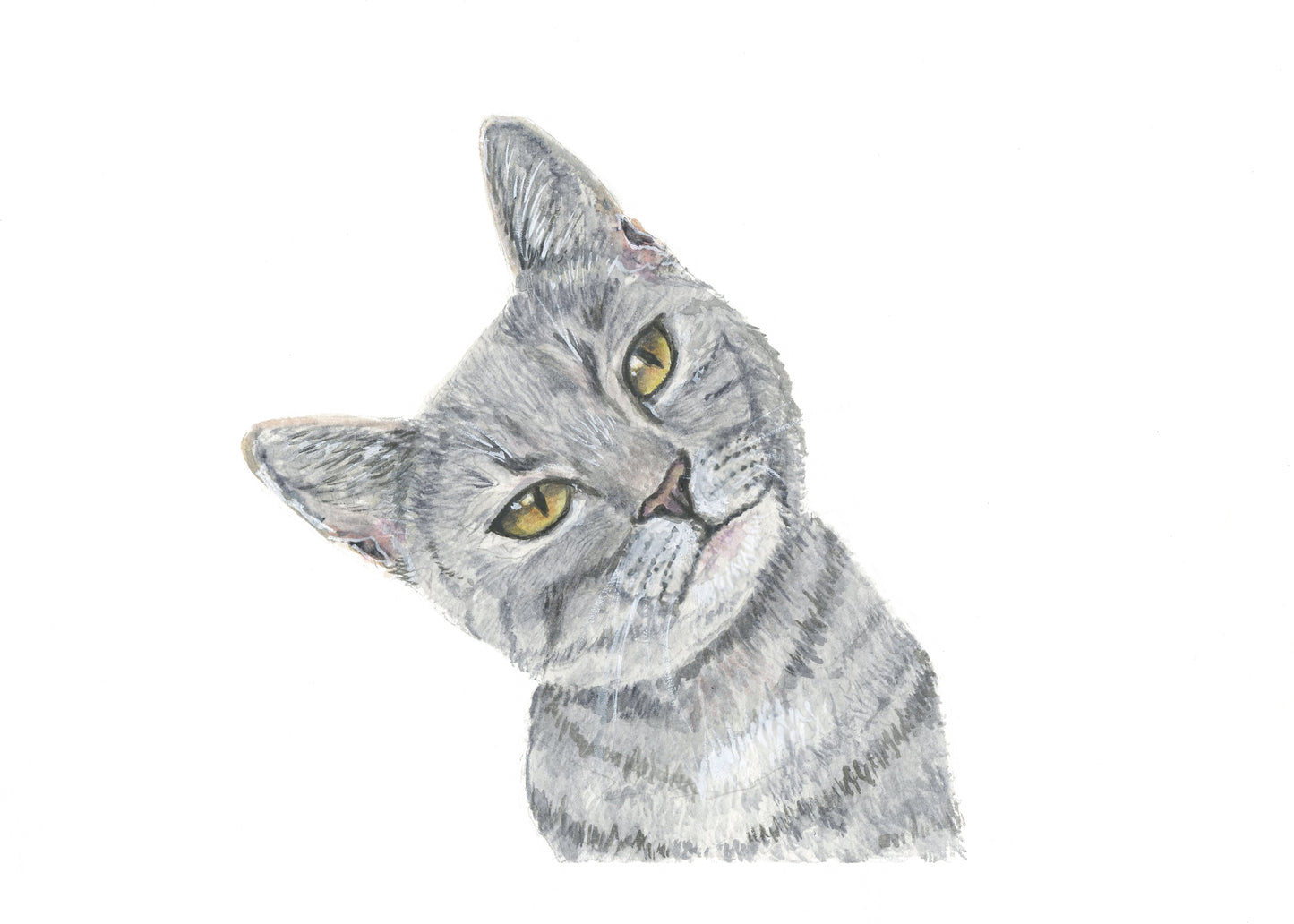 Custom Pet Portraits