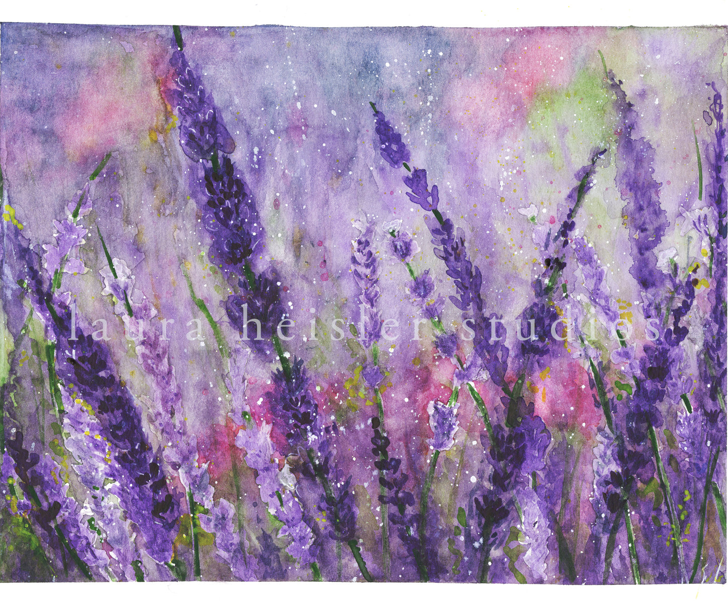 LAVENDER