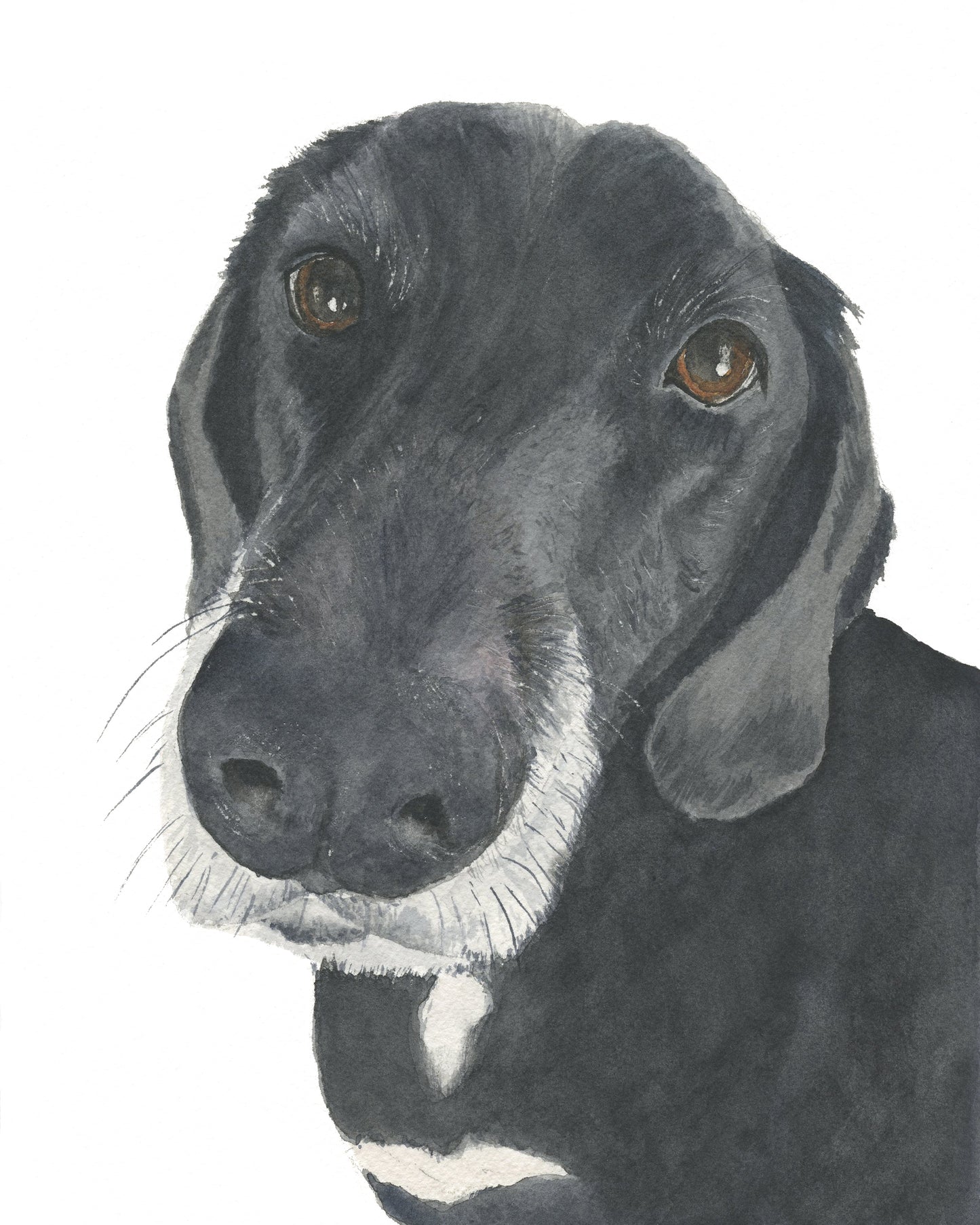 Custom Pet Portraits