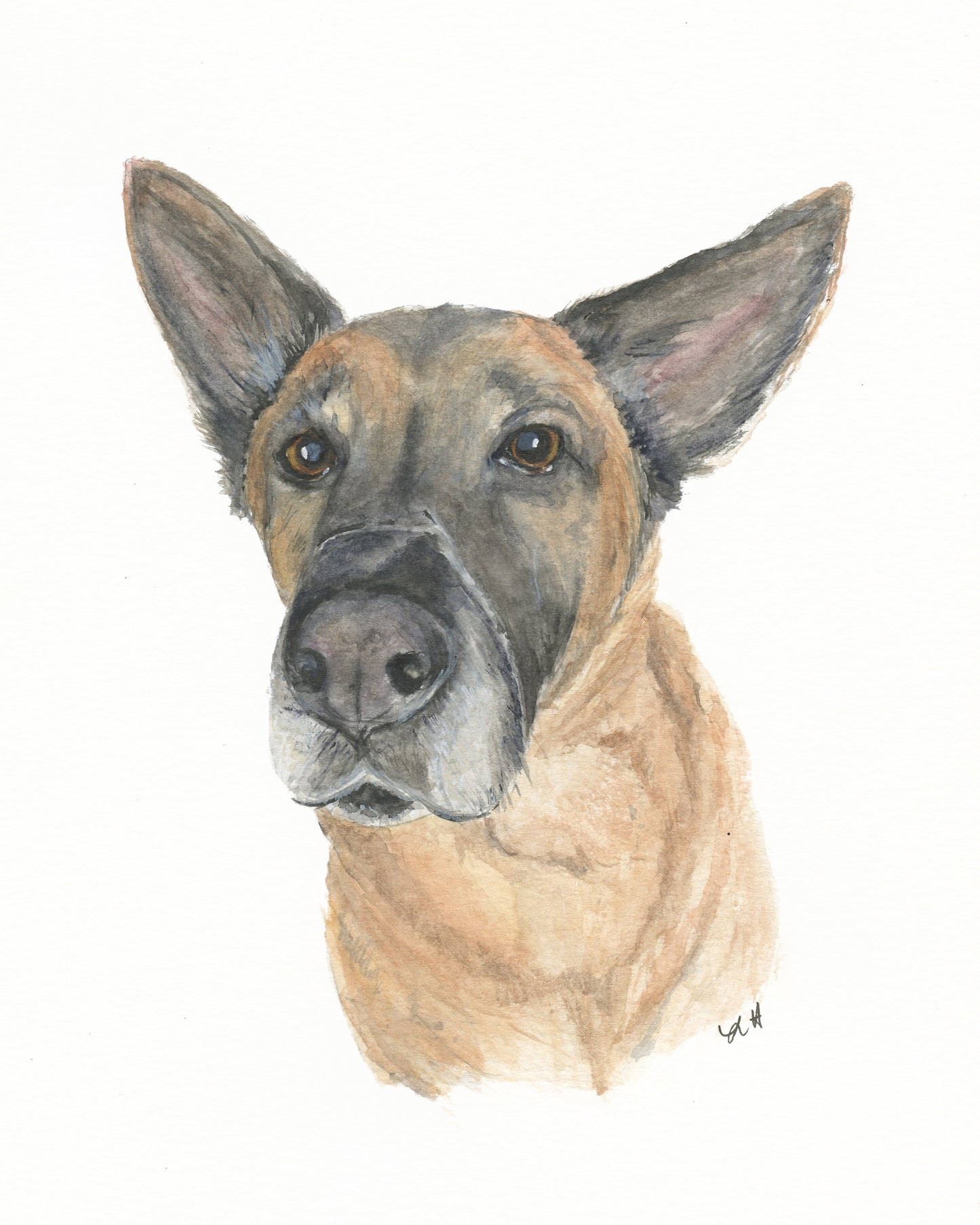 Custom Pet Portraits