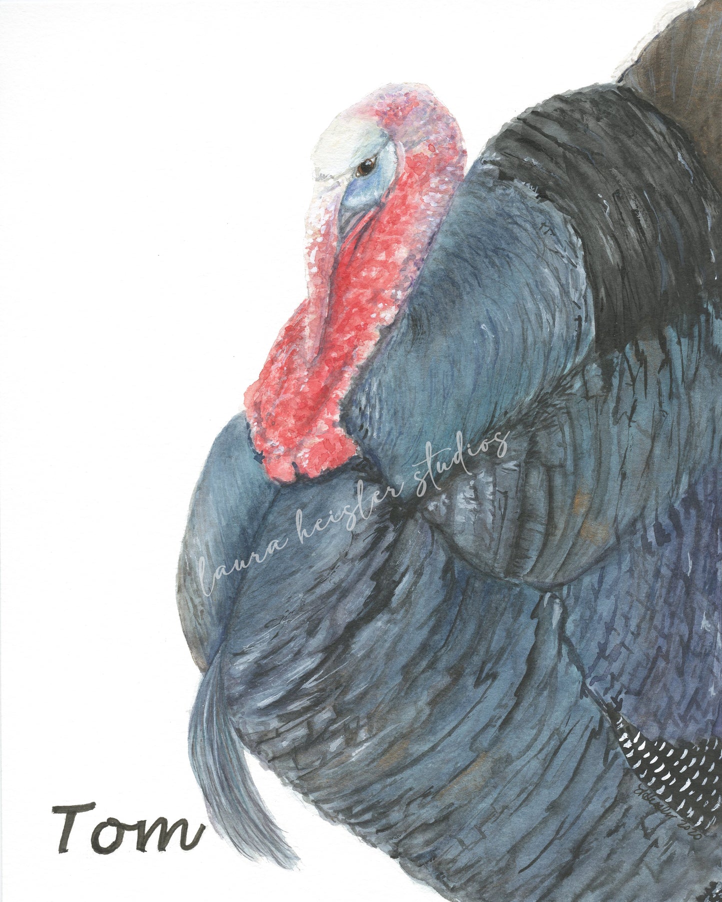 Custom Pet Portraits