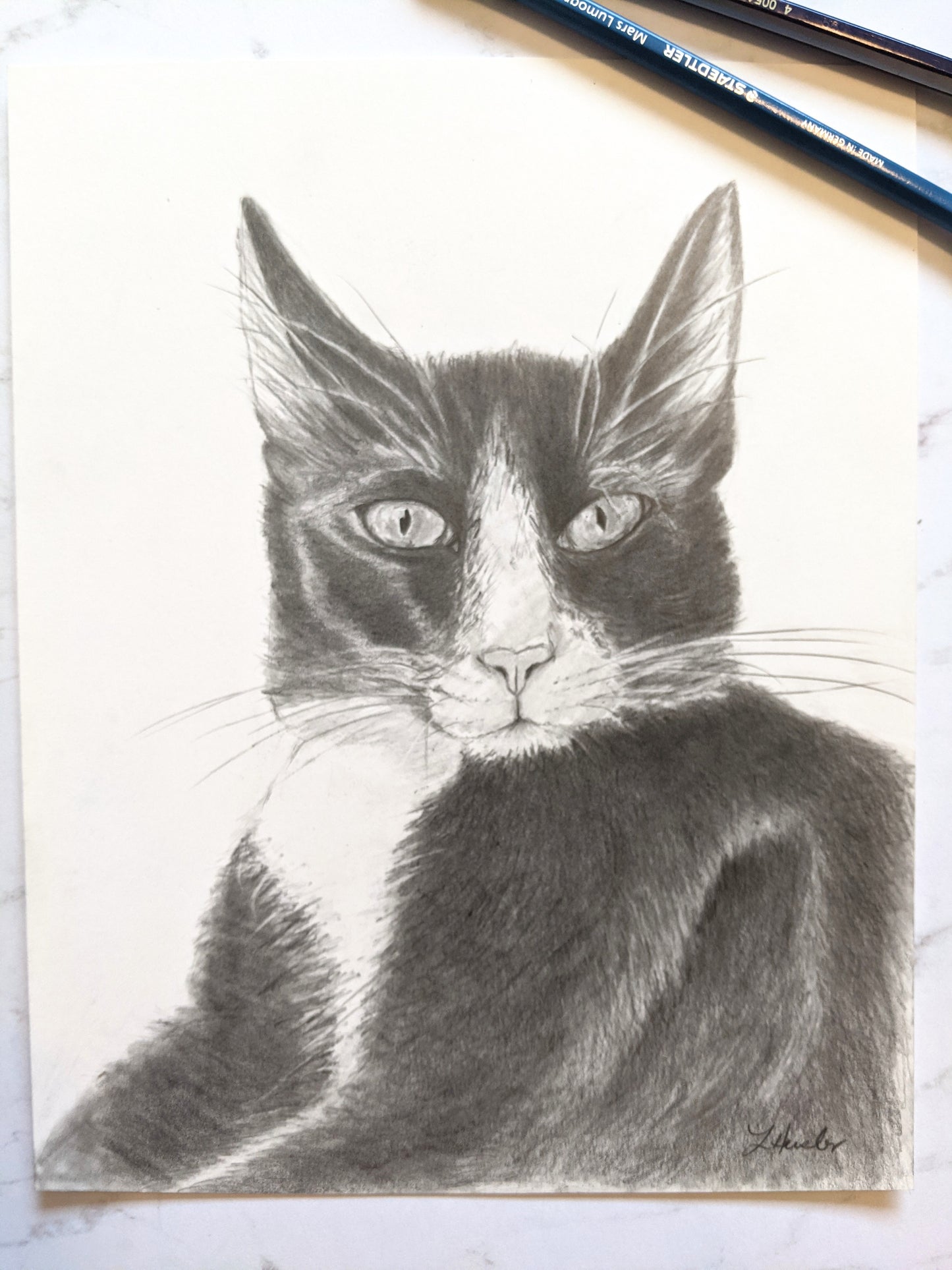 Custom Graphite Pet Portrait