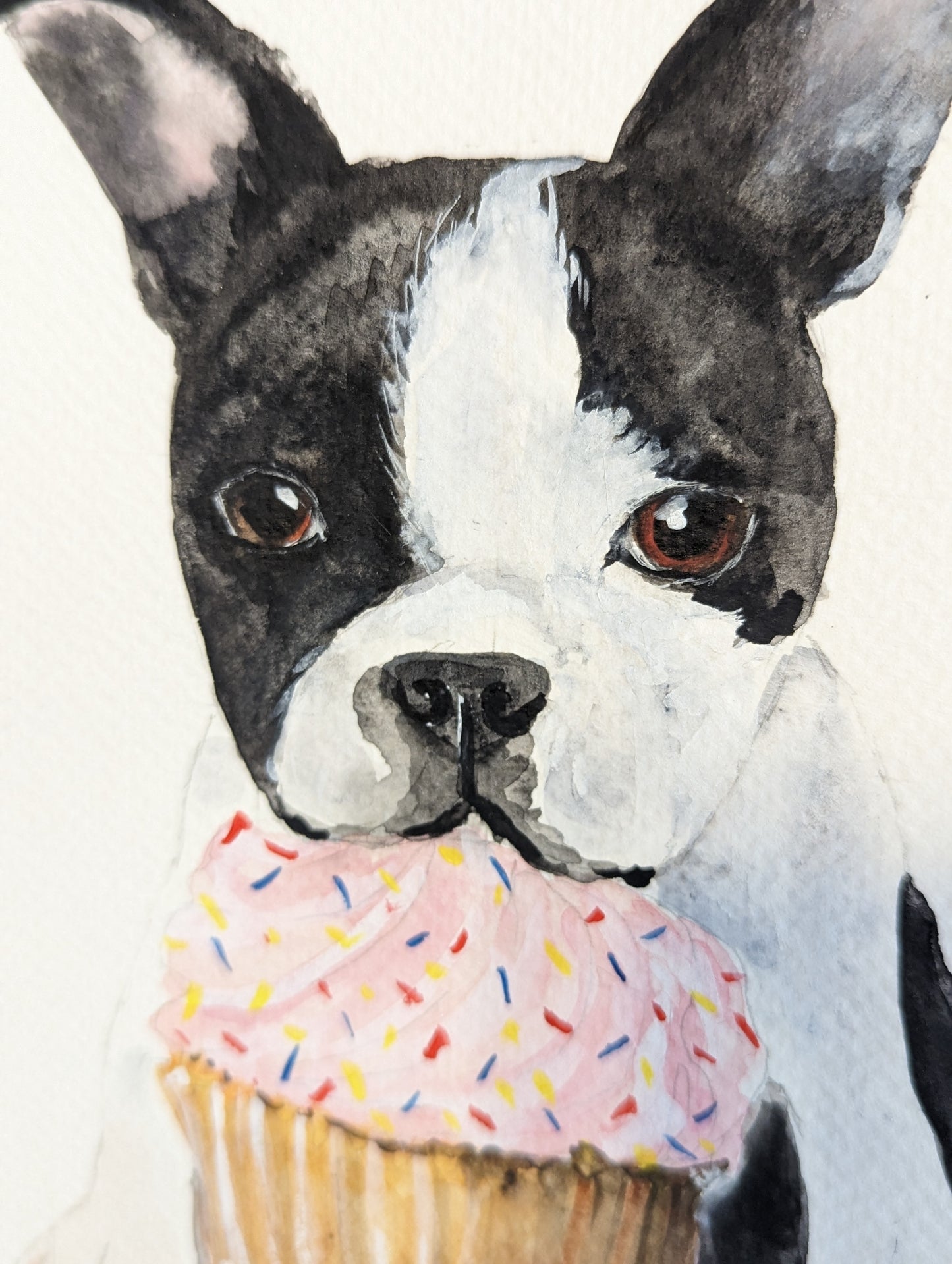 Original 8x8 Boston Terrier & Cupcake Watercolor Artwork