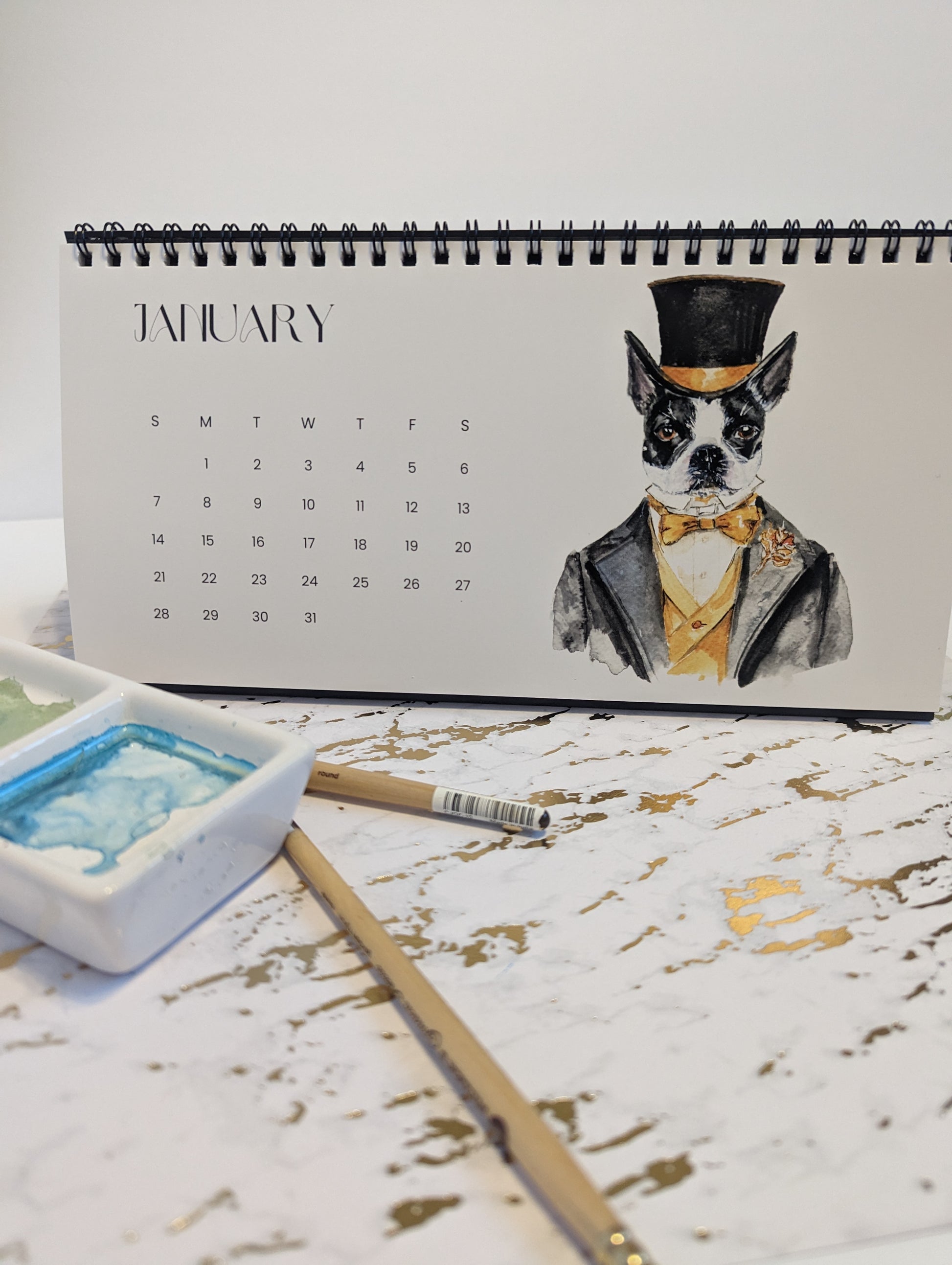 2024 boston terrier calendar of laura heisler studios original artwork of instagram community boston terriers