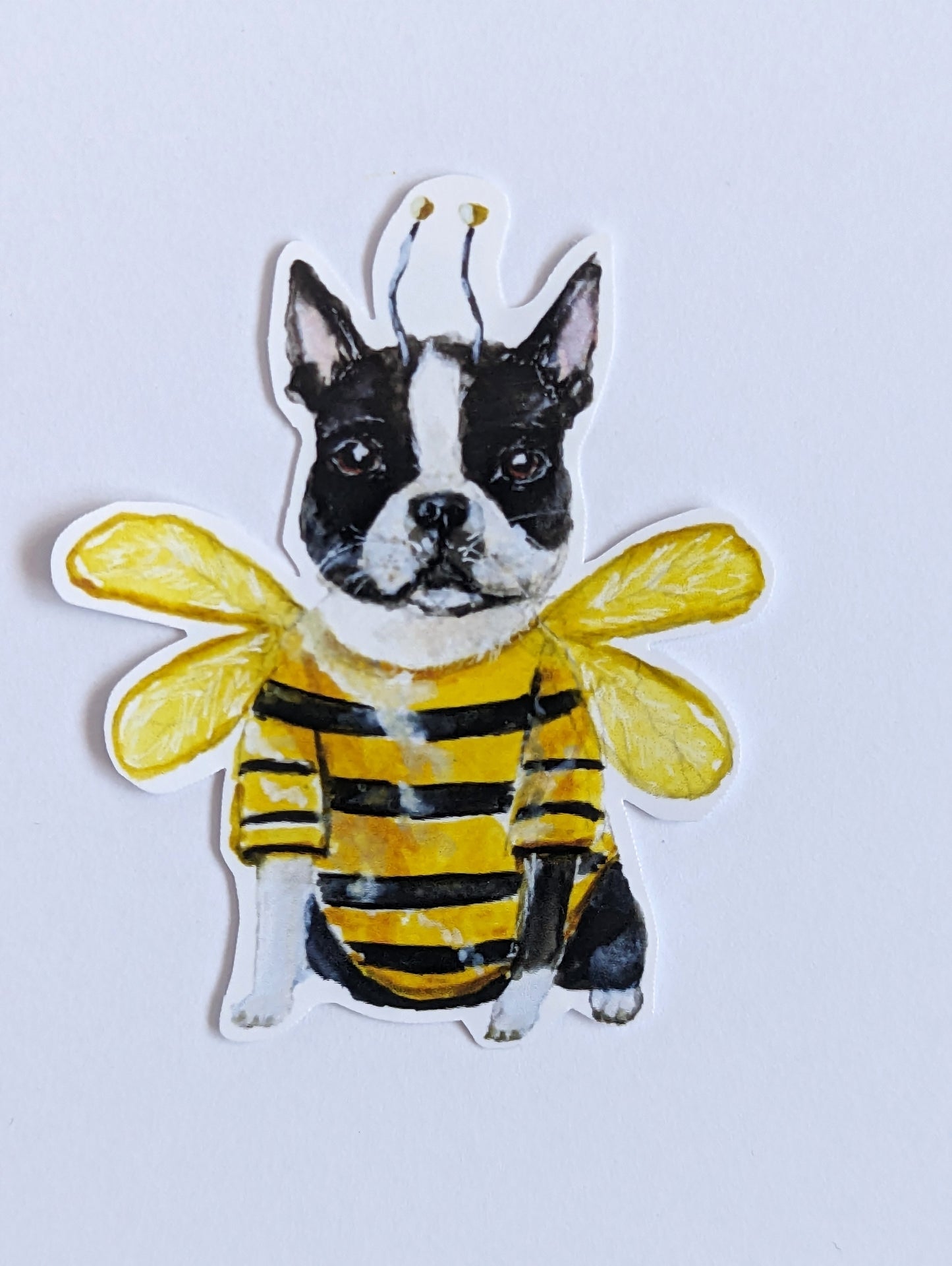 Boston Terrier Stickers with free shipping