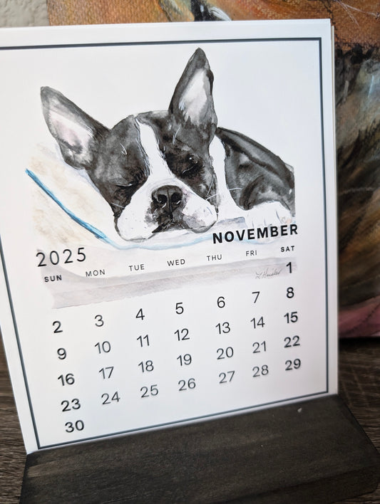 2025 Boston Terrier Desk Calendar