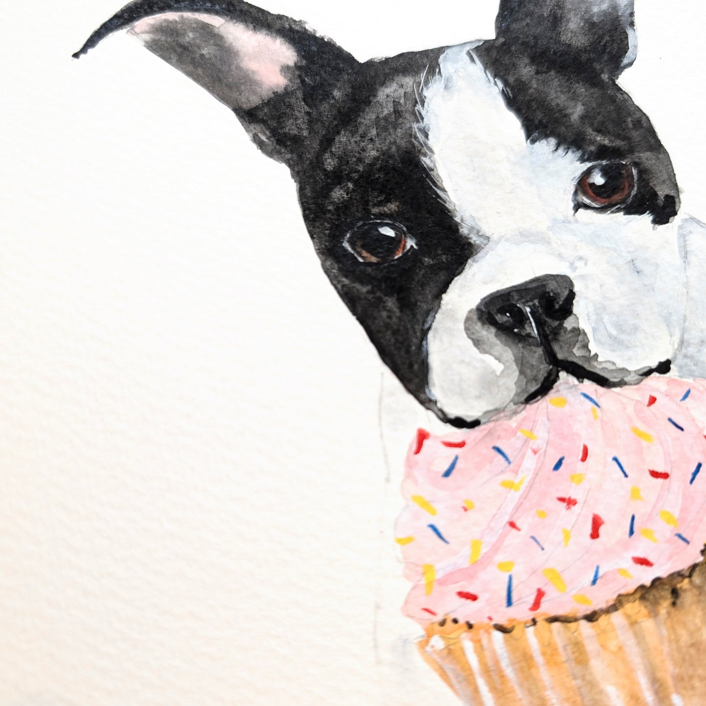 Original 8x8 Boston Terrier & Cupcake Watercolor Artwork