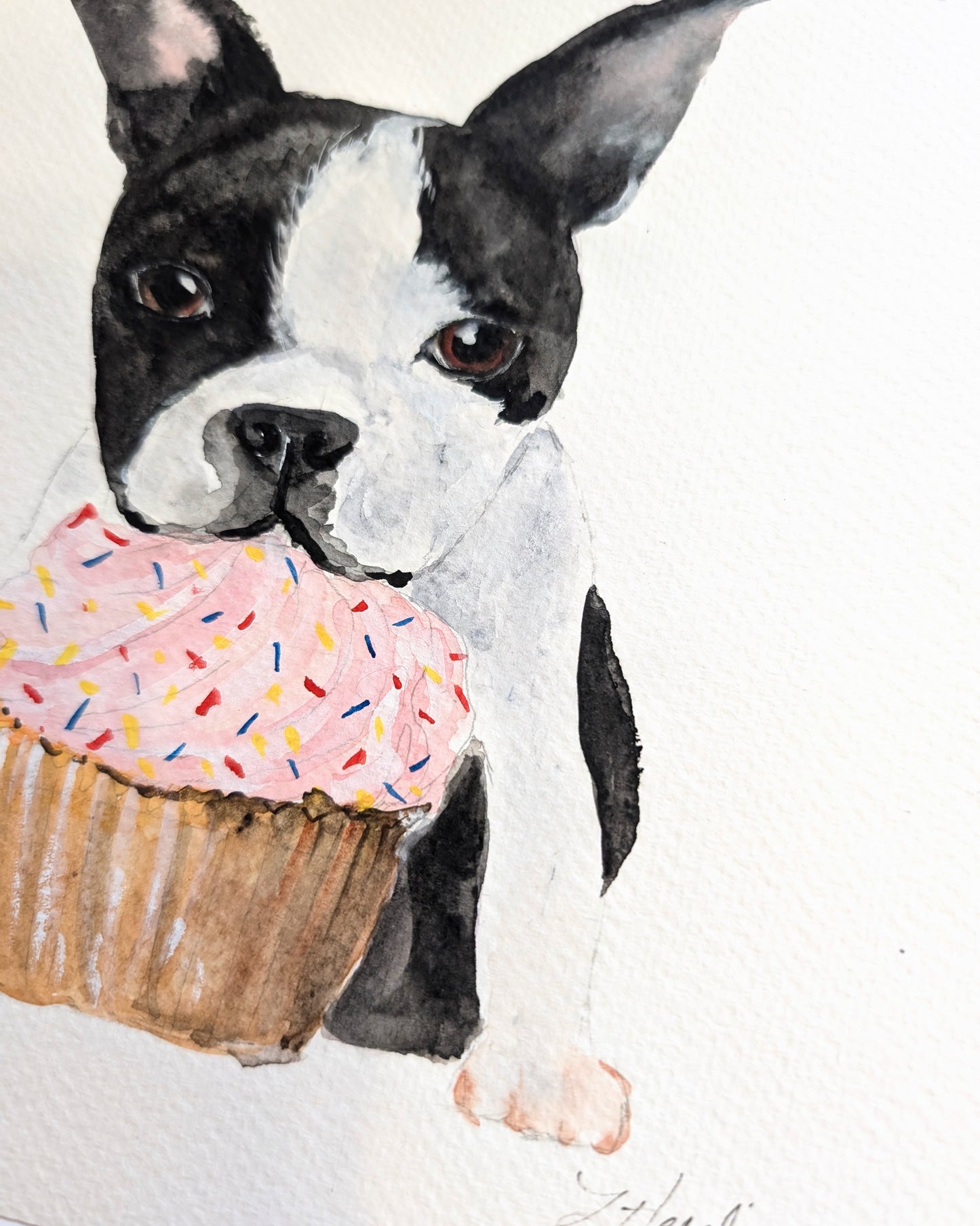 Original 8x8 Boston Terrier & Cupcake Watercolor Artwork