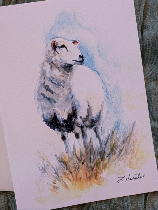 Creation and the Psalms Print Collection