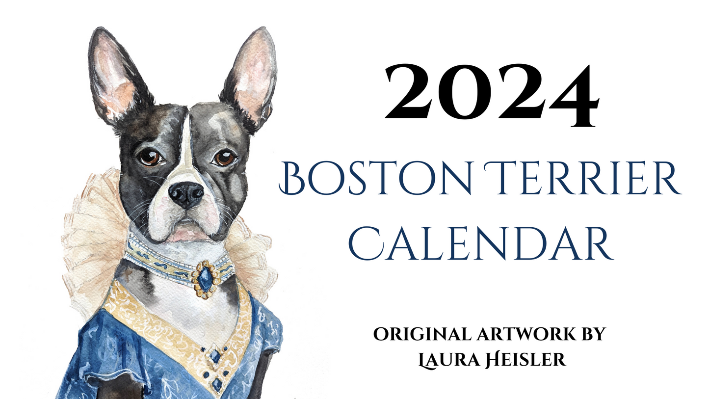 2024 Boston Terrier Calendar