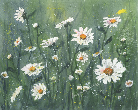 watercolor artwork of a field of daisies