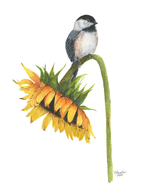 hand painted watercolor sunflower with chickadee