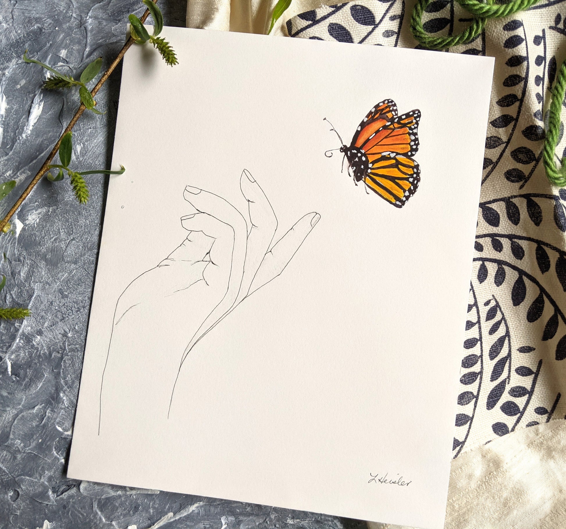 monarch butterfly line drawing