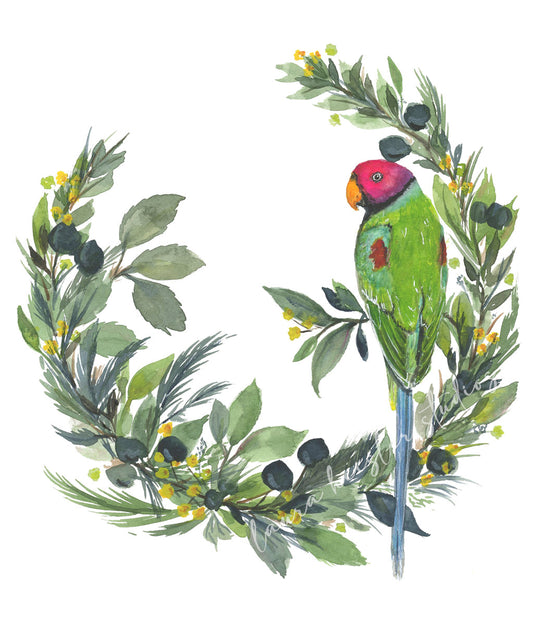 Plum Headed Parakeet in Wreath Giclee Prints