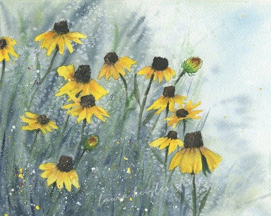 watercolor art of a field of black eyed susans