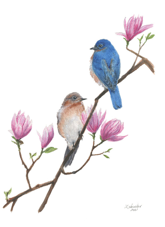 hand painted watercolor male and female bluebird in magnolia branch