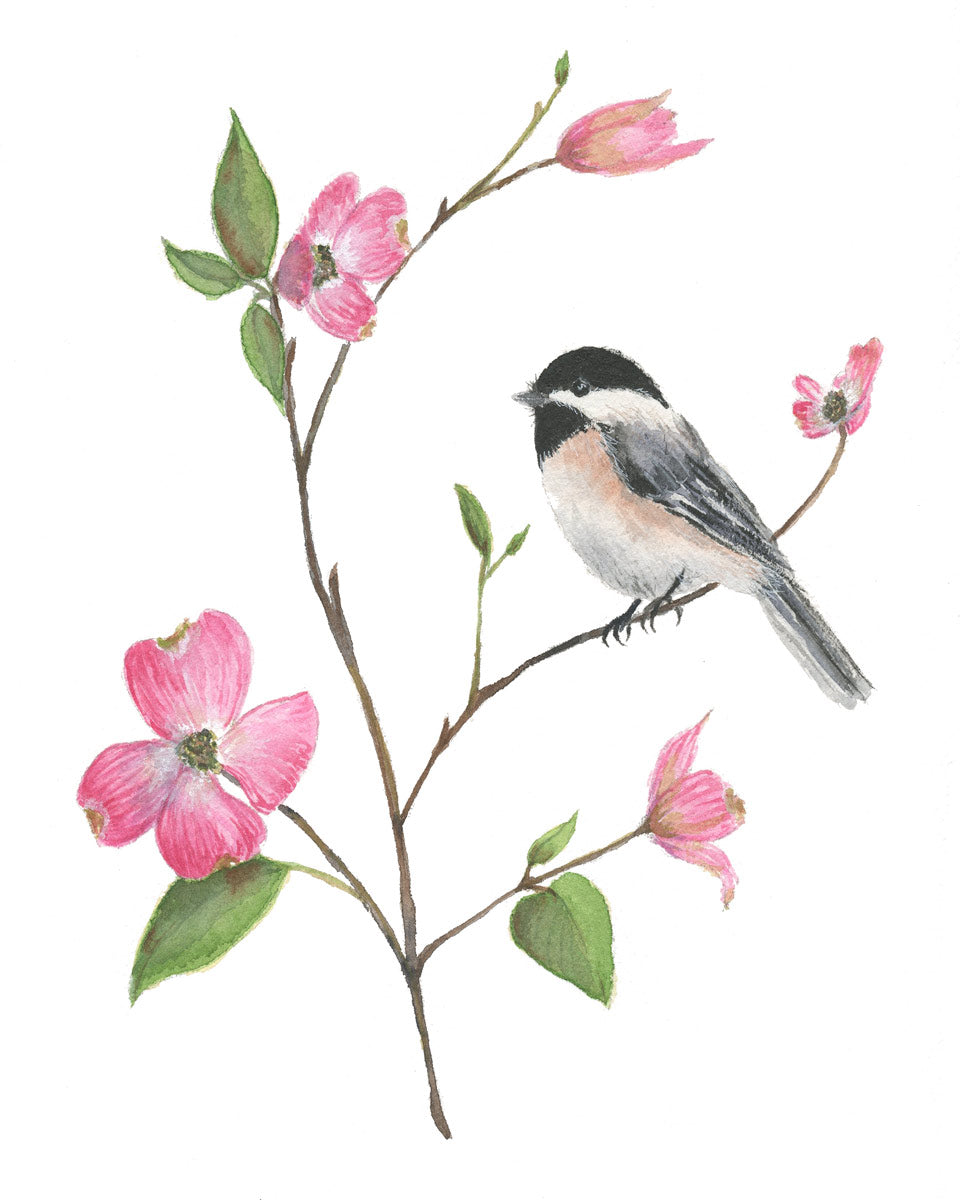 hand painted watercolor chickadee in pink dogwood branch