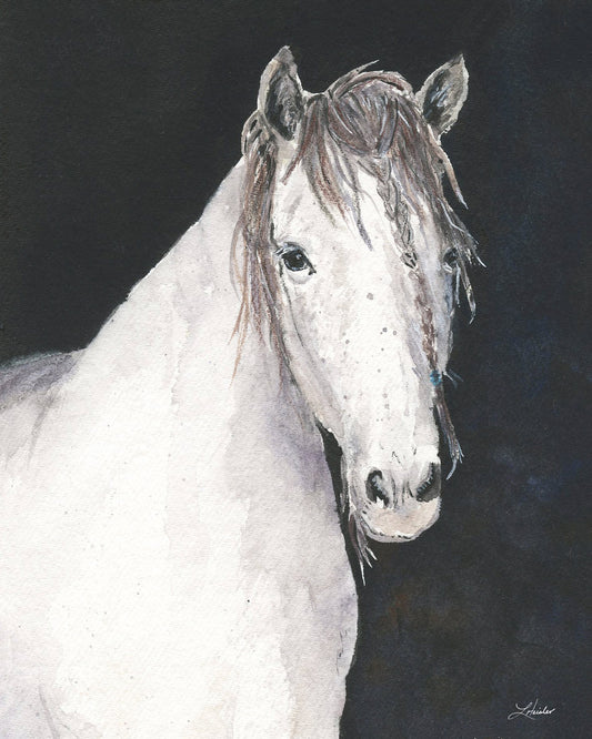 hand painted watercolor white horse with dark background