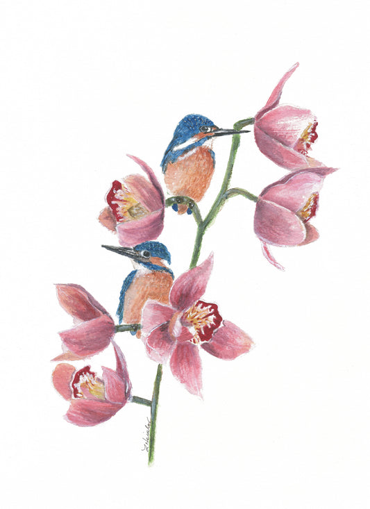 two kingfishers perched on a pink orchid branch watercolor artwork