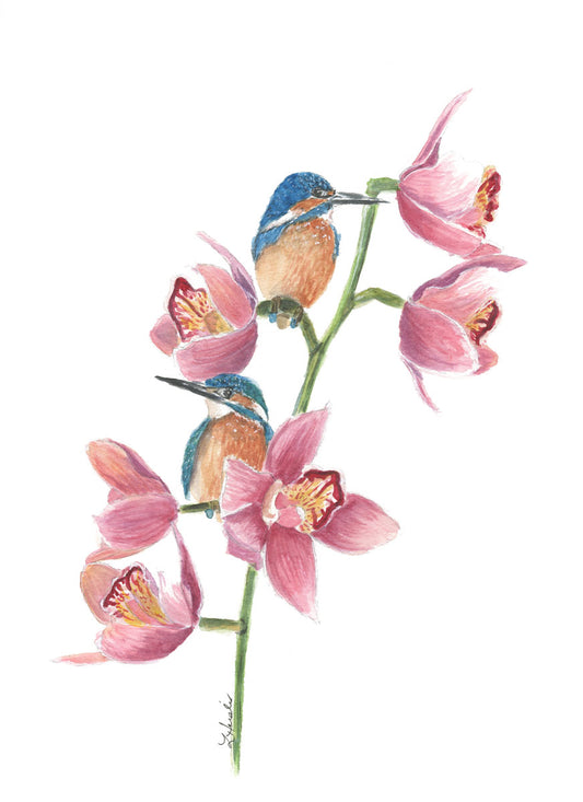 two kingfishers perched on a pink orchid branch