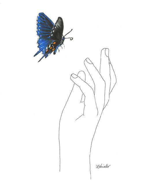 drawn hand and a watercolor pipevine swallowtail