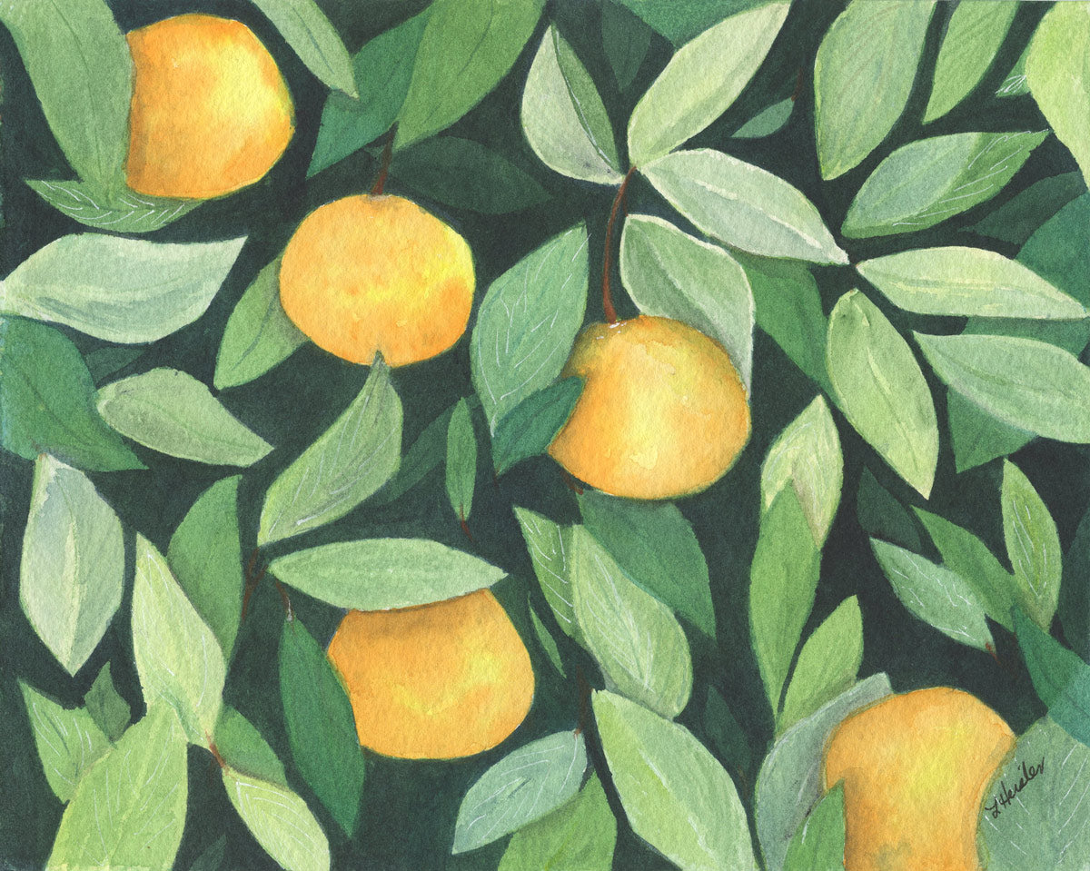 Orange Tree, Giclee Print