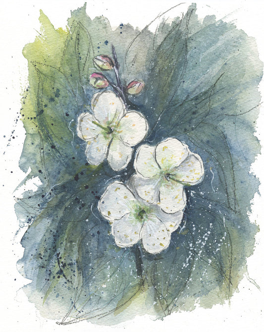Plum Blossoms Giclee Print