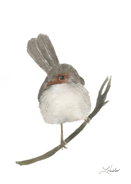 Superb Fairy Female Giclee Print