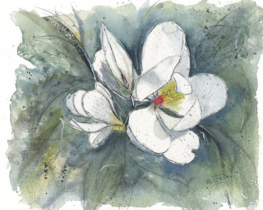 Southern Magnolia Giclee Print