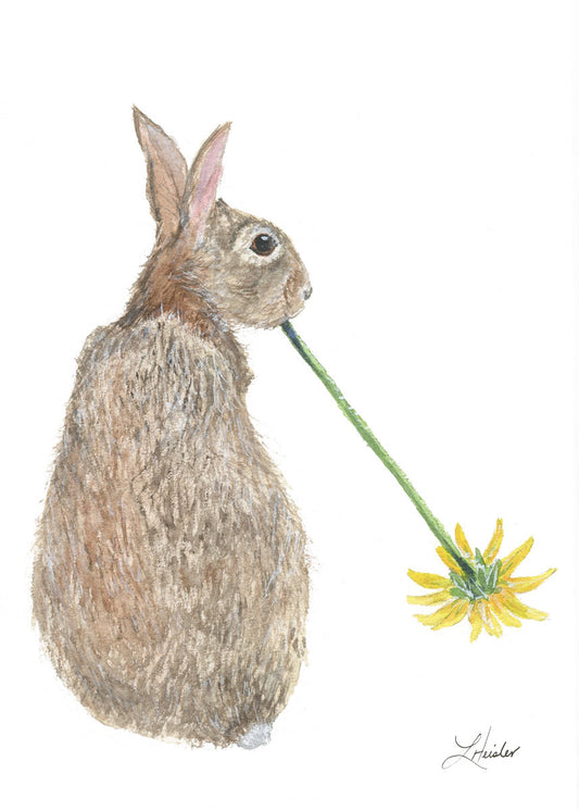 Wild Hare Giclee Print