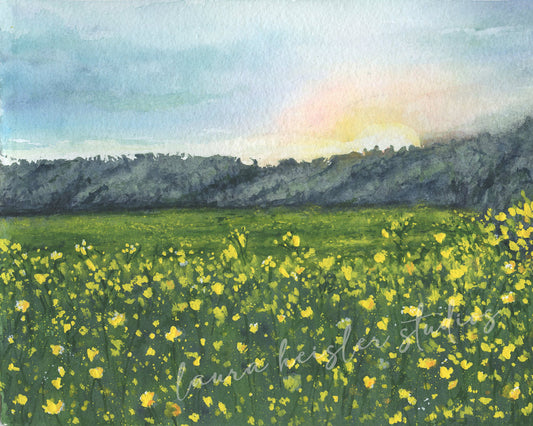 watercolor artwork of a sunrise over a meadow of yellow wildflowers