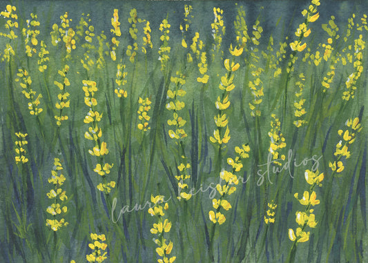 watercolor artwork of a field of yellow wildflowers
