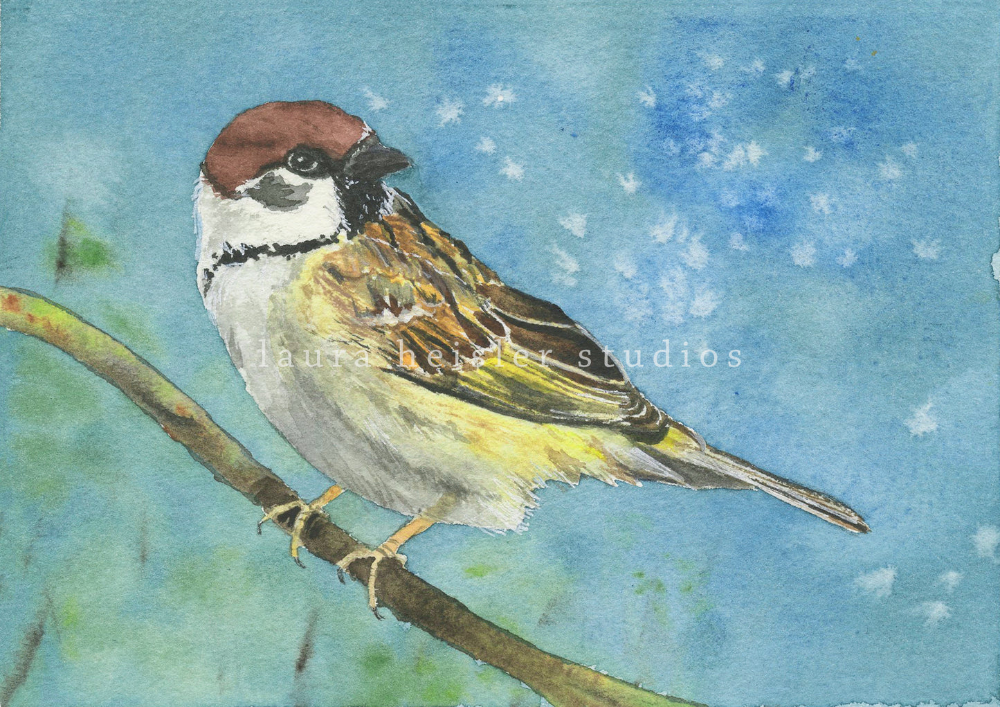 Eurasian Tree Sparrow Limited Edition Prints