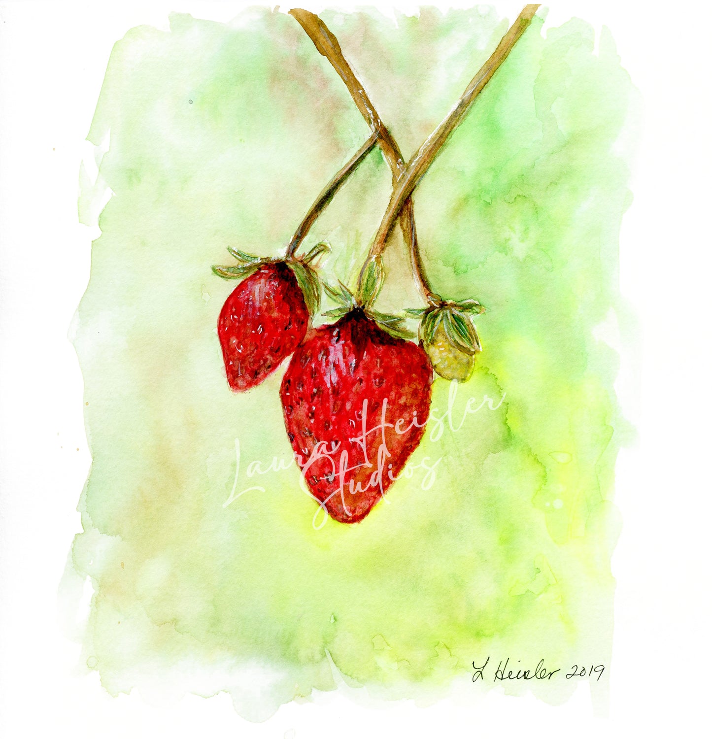 Strawberries